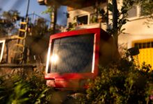 A retro red TV set amidst a lush garden with sunlight reflecting on the screen.