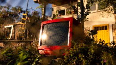 A retro red TV set amidst a lush garden with sunlight reflecting on the screen.