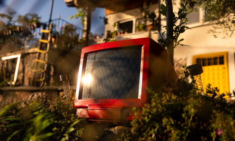 A retro red TV set amidst a lush garden with sunlight reflecting on the screen.