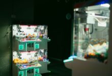 Dimly lit arcade featuring claw machines with vibrant neon lighting, capturing modern leisure and gaming.
