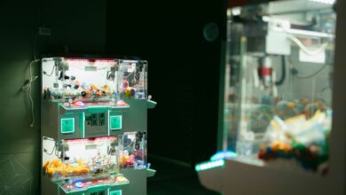 Dimly lit arcade featuring claw machines with vibrant neon lighting, capturing modern leisure and gaming.
