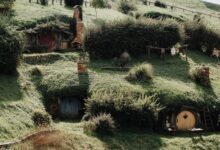 Charming Hobbiton-style houses built into lush green hills in rural New Zealand.