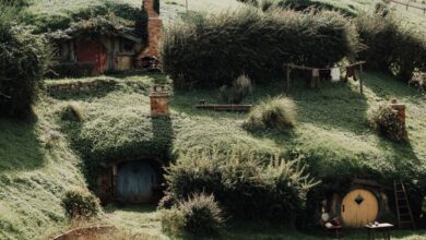 Charming Hobbiton-style houses built into lush green hills in rural New Zealand.