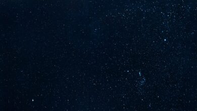 A breathtaking view of a star-filled sky, showcasing the beauty of the universe at night.