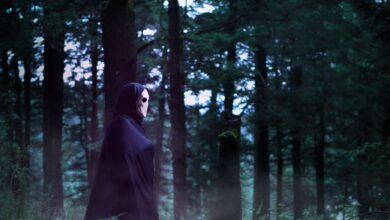 A cloaked figure with a white mask stands in a foggy forest setting, evoking mystery.