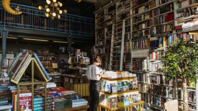 A person enjoys a book in a sunlit, cozy bookstore filled with a variety of books.