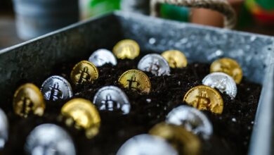 Closeup of bitcoin coins buried in soil, symbolizing digital currency and investment growth.