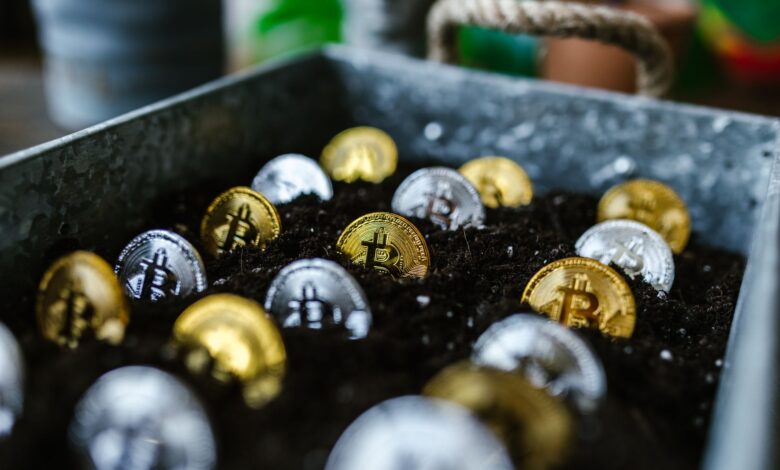 Closeup of bitcoin coins buried in soil, symbolizing digital currency and investment growth.