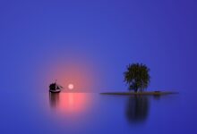 Serene view of a sailboat and island tree reflecting at sunset.
