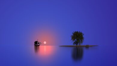Serene view of a sailboat and island tree reflecting at sunset.