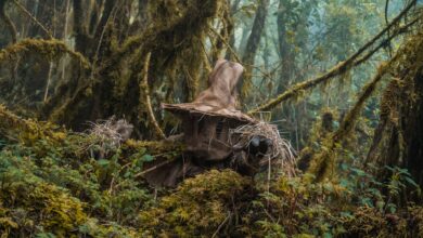 A mysterious figure wearing a witch hat hides in the moss-covered Choachí forest, Colombia.