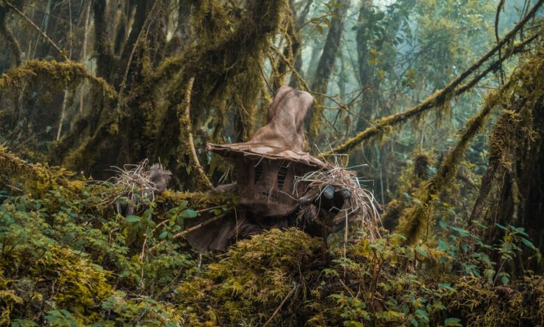 A mysterious figure wearing a witch hat hides in the moss-covered Choachí forest, Colombia.