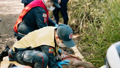 Emergency responders perform a life-saving simulation outdoors, demonstrating teamwork and first aid skills.